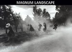 Magnum landscape /