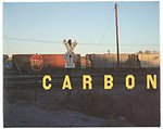 Carbon : [in conjunction with the exhibition of the same title organized by The Museum of Contemporary Art, Los Angeles from April 8 through June 17, 1990] / by Lothar Baumgarten