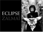 Eclipse: Zalmai ; avant-propos: Atiq Rahimi ; essai: Daniel Girardin