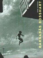 Nord - Nordost [dieses Buch erscheint anlässlich der ausstellung "Barnabás Bosshart: Nord - Nordost" im Kunstmuseum des kantons Thurgau, 20. Juni bis 25. Oktober 1998]
