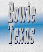 Bowie Texas / Pierluigi Macor