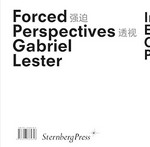 Forced Perspectives / Gabriel Lester