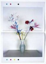 Fake flowers in full colour / Photography by Jaap Scheeren and Hans Gremmen