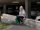 The Auckland project / John R Gossage, Alec Soth