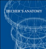 Becher's anatomy / edited by Giovanni Battista Balestra ... [et al.], Università della Svizzera italiana, Accademia di architettura
